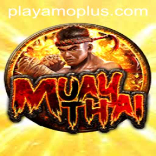 Exploring the Exciting World of MuayThai at PlayAmo